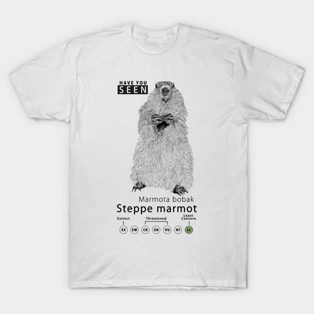 Marmot 3xl 2025